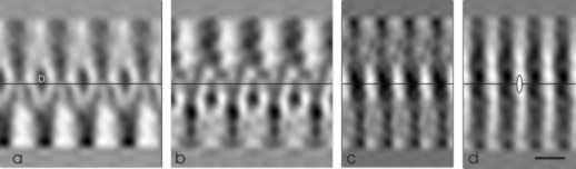 zbw98_fig.fs1.jpg (8014 bytes)